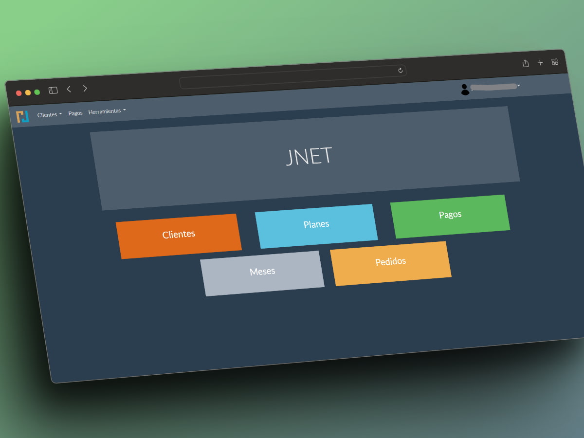 Captura del proyecto JNET Services