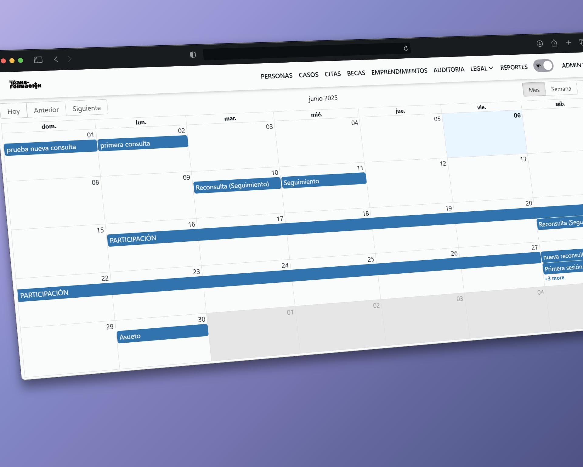 Captura del proyecto Trans-formacion